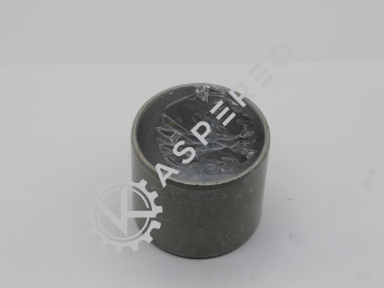 Bearing drive-end main  RC-*9