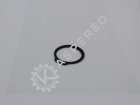 Circlip