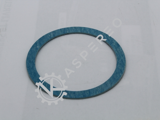 Gasket (discharge)