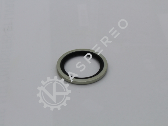 Gasket dowty seal 1/0- bsp