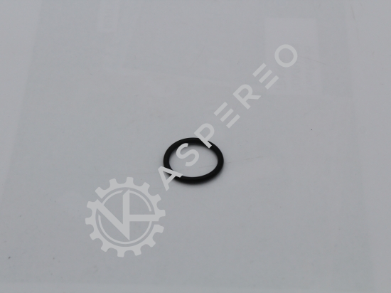 O RING N°29 / 250