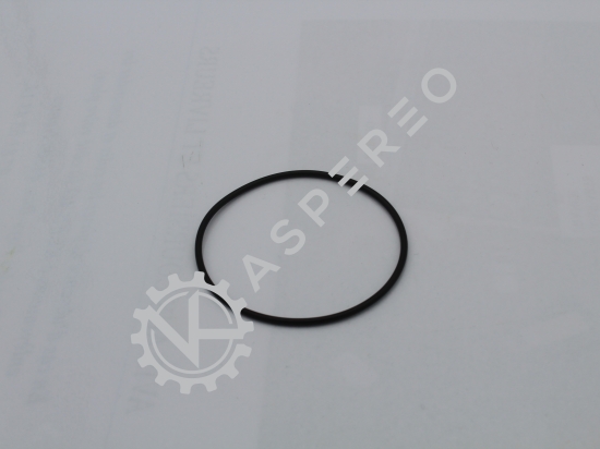 O RING 72,69 x 2,62