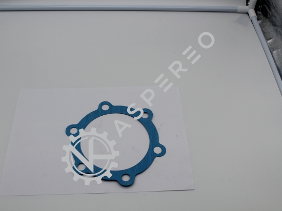 Gasket shaft-seal plate (12mm ho