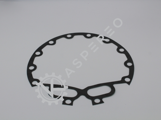 Gasket RT Pump