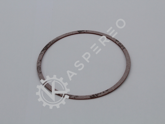 Gasket sealing plug 'LFI