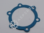 Gasket shaft-seal plate (12mm ho