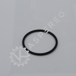 O RING N°111/160V